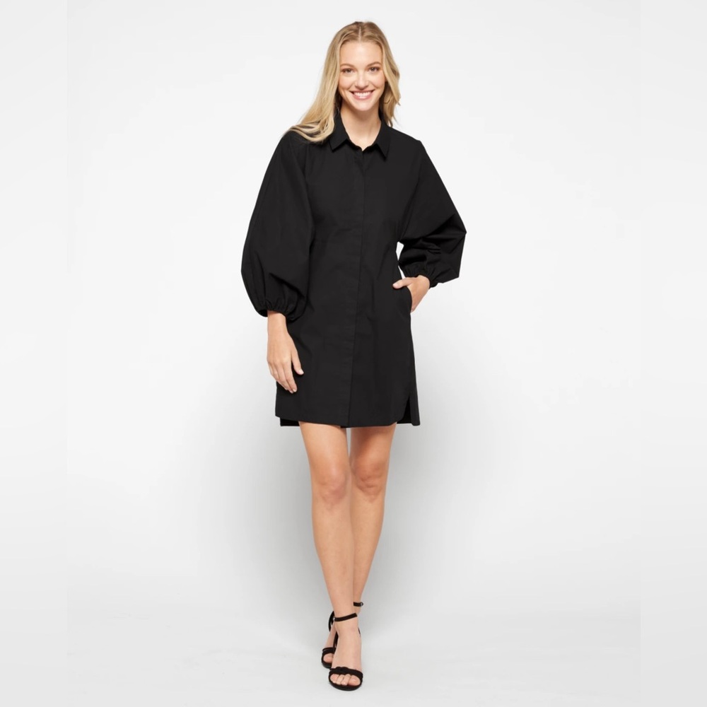 Modern Citizen poplin button up dress